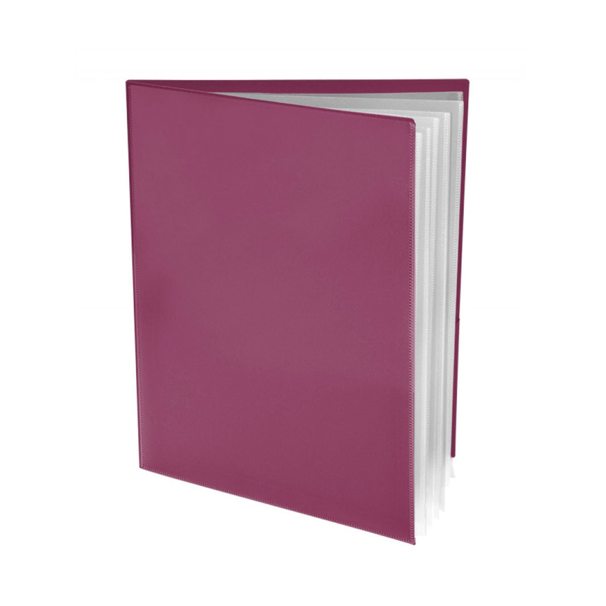 Customized Pocket Folder With Clear Outside Pockets And 6 Pages | Ultra Folders